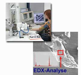 Rasterelektronenmikroskopie u EDX-Analyse