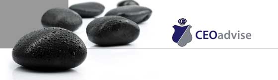 CEO advise GmbH - Networking is working