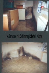 Schimmelbefall hinter Einbauküche (Pilzbefall durch Raumluftkondensation)