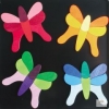 4 Schmetterlinge