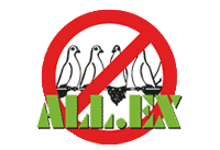 Allex Taubenabwehranlagen Reiner R. Wolf Firmenlogo