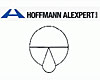 Hoffmann GmbH ALEXPERT Formguss-Gießerei Dresden