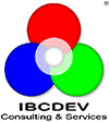 IBCDEV Unternehmensberatung, Managerberatung, E-Learning