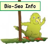 Erfolgreicher Internetauftritt mit Bio-Seo