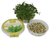 MicroGreens