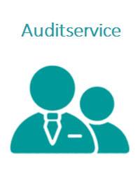 Auditservice