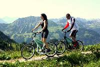 So schön kann Streetstepper fahren in den Alpen sein.